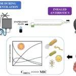Nebulizers for Antibiotics